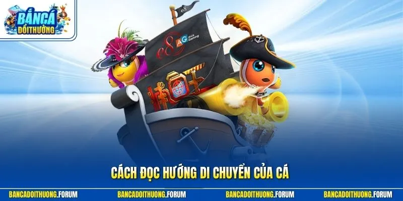 Cách đọc hướng di chuyển của cá